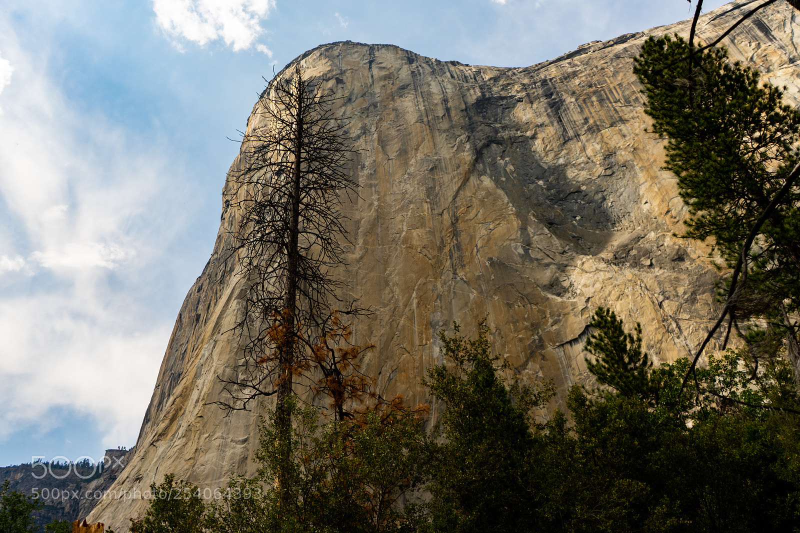 Sony a7 II sample photo. El capitan - yosemite photography