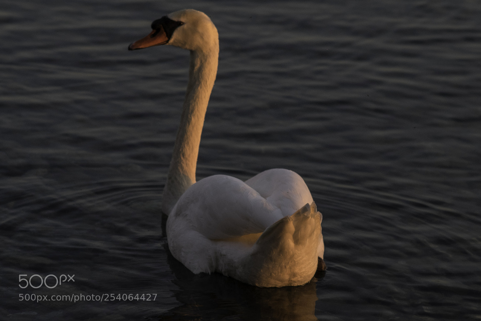 Fujifilm X-T1 sample photo. Wenn ihr es nicht photography