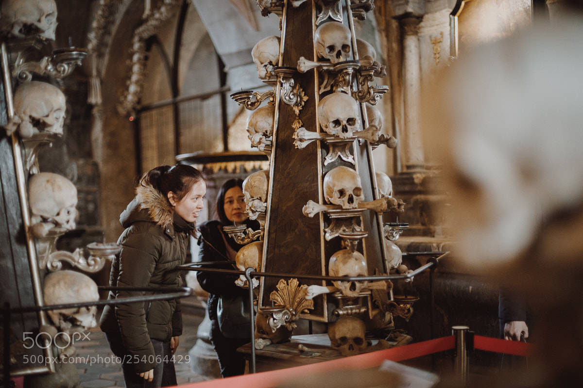 Canon EOS 5D Mark IV sample photo. Church of bones photography