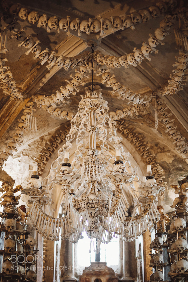 Canon EOS 5D Mark IV sample photo. Church of bones photography