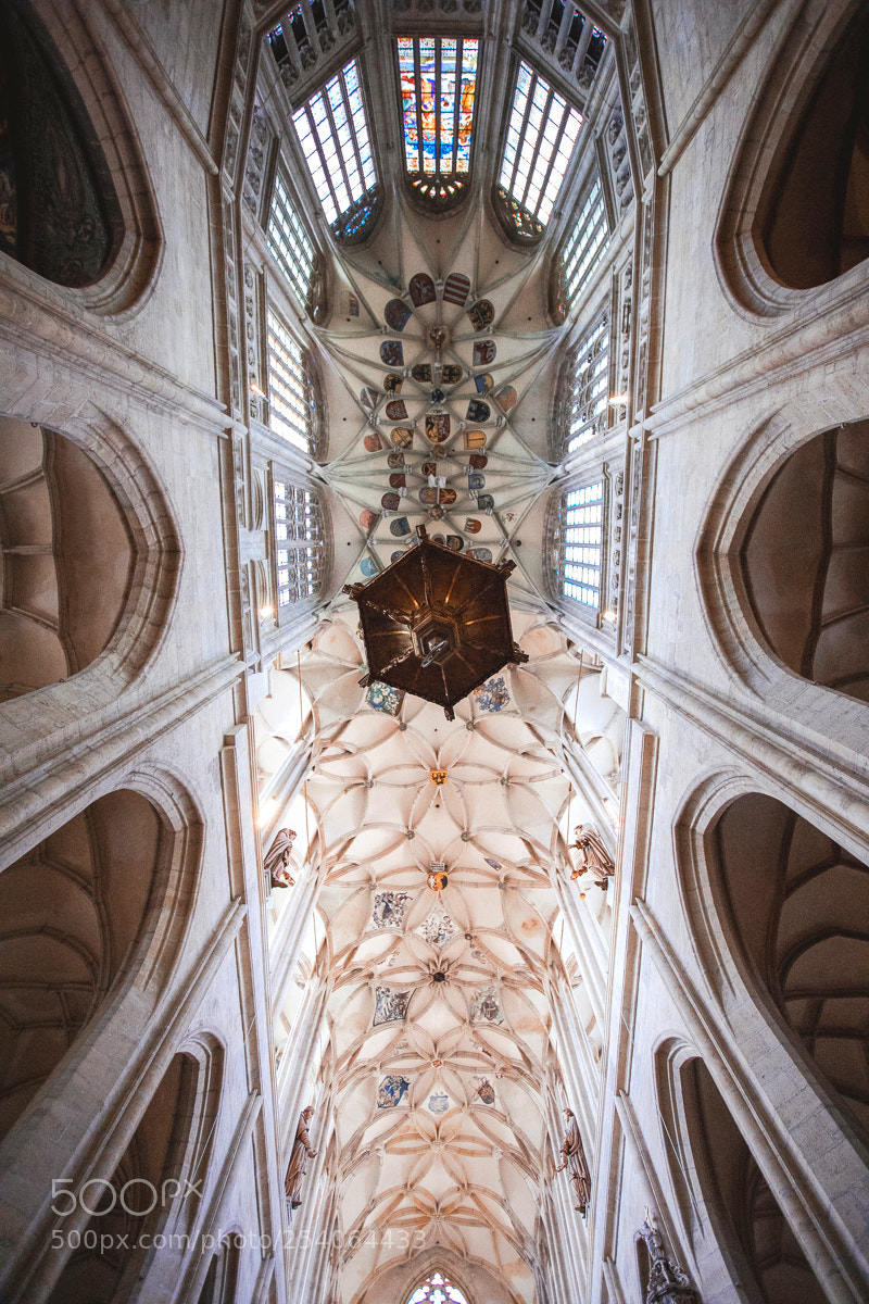Canon EOS 5D Mark IV sample photo. St barbara's church photography