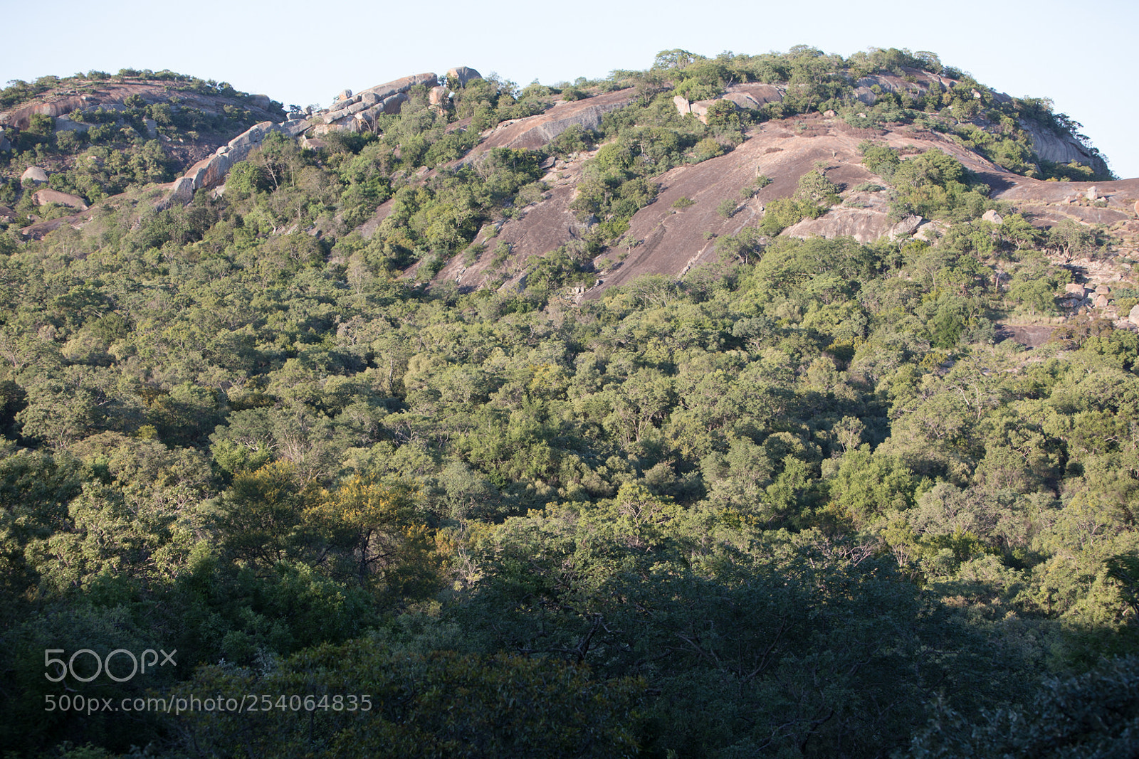 Canon EOS 5D Mark IV sample photo. Mb photography
