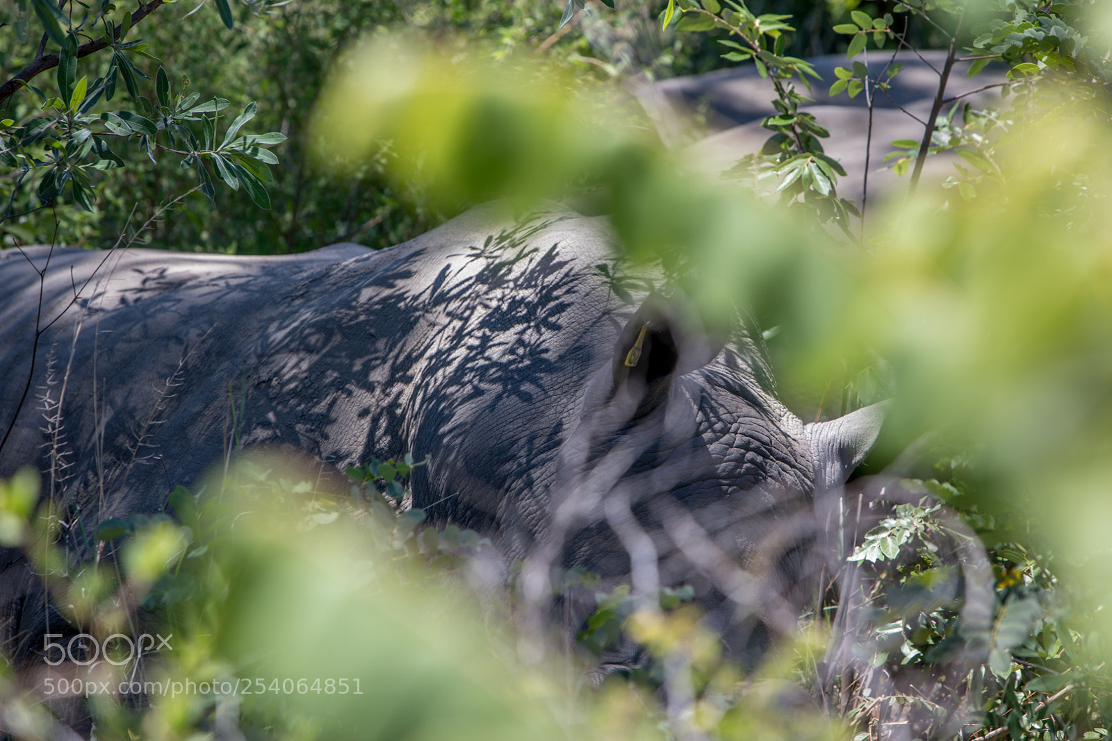 Canon EOS 5D Mark IV sample photo. Mb photography