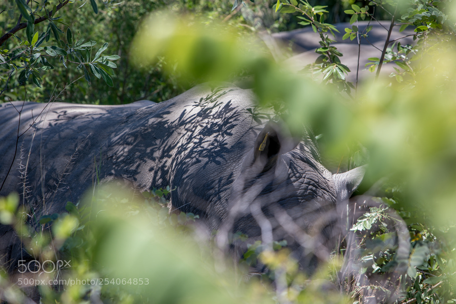 Canon EOS 5D Mark IV sample photo. Mb photography