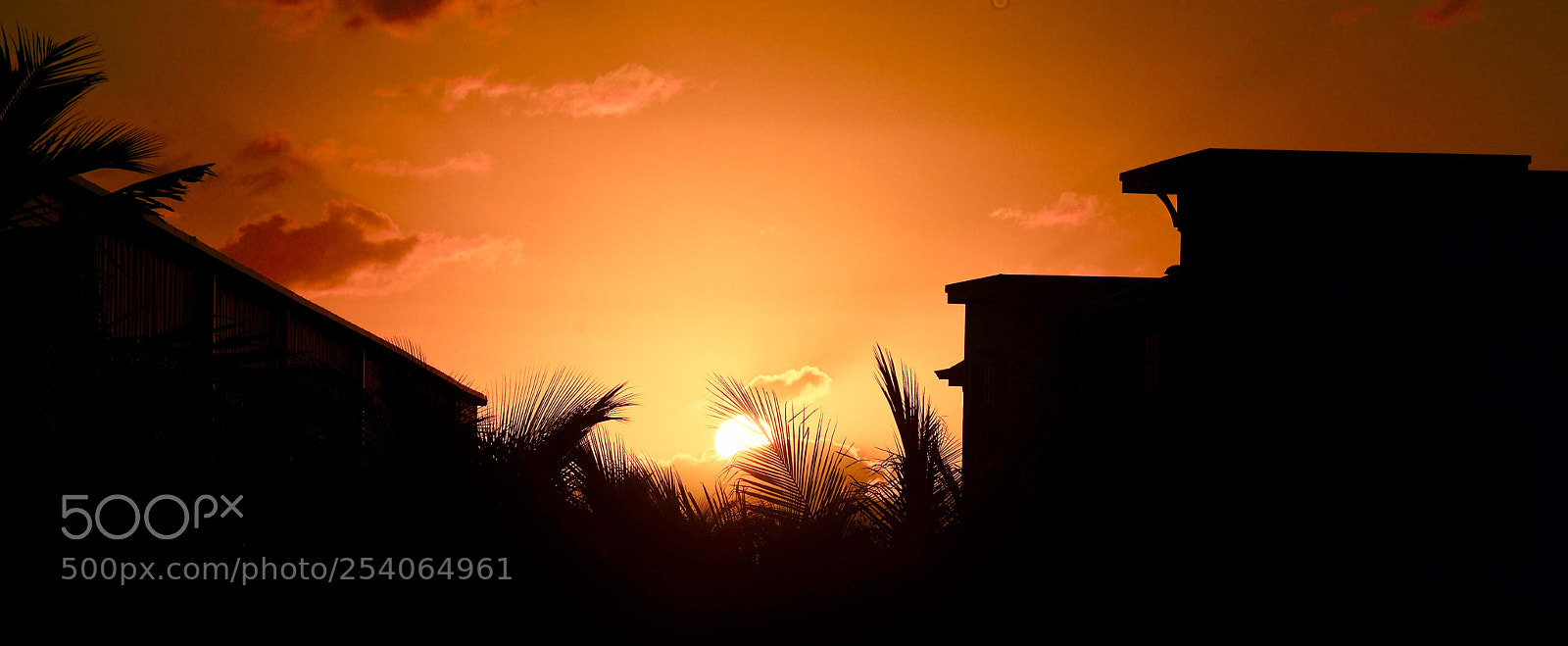 Nikon D800 sample photo. Rise up and shine photography
