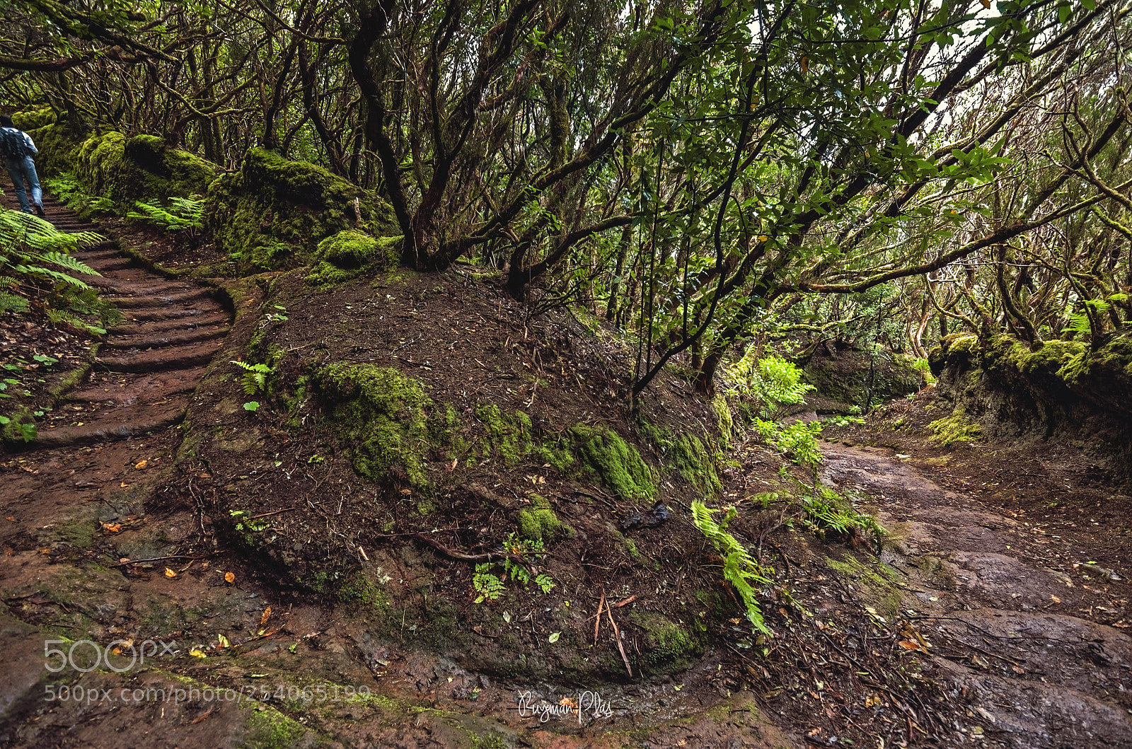 Nikon D5100 sample photo. A change is as photography