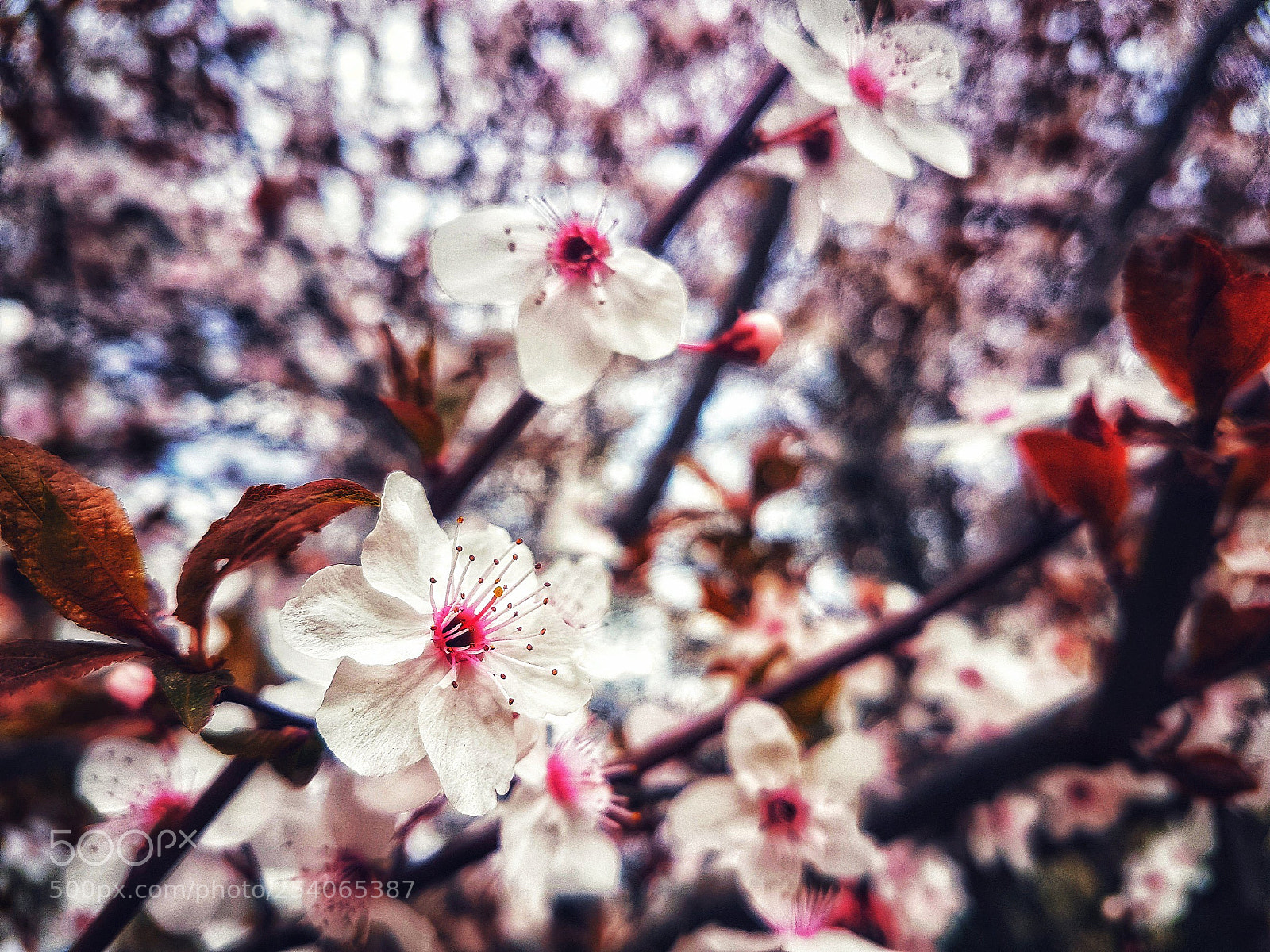 Samsung Galaxy S7 sample photo. Untitled photography