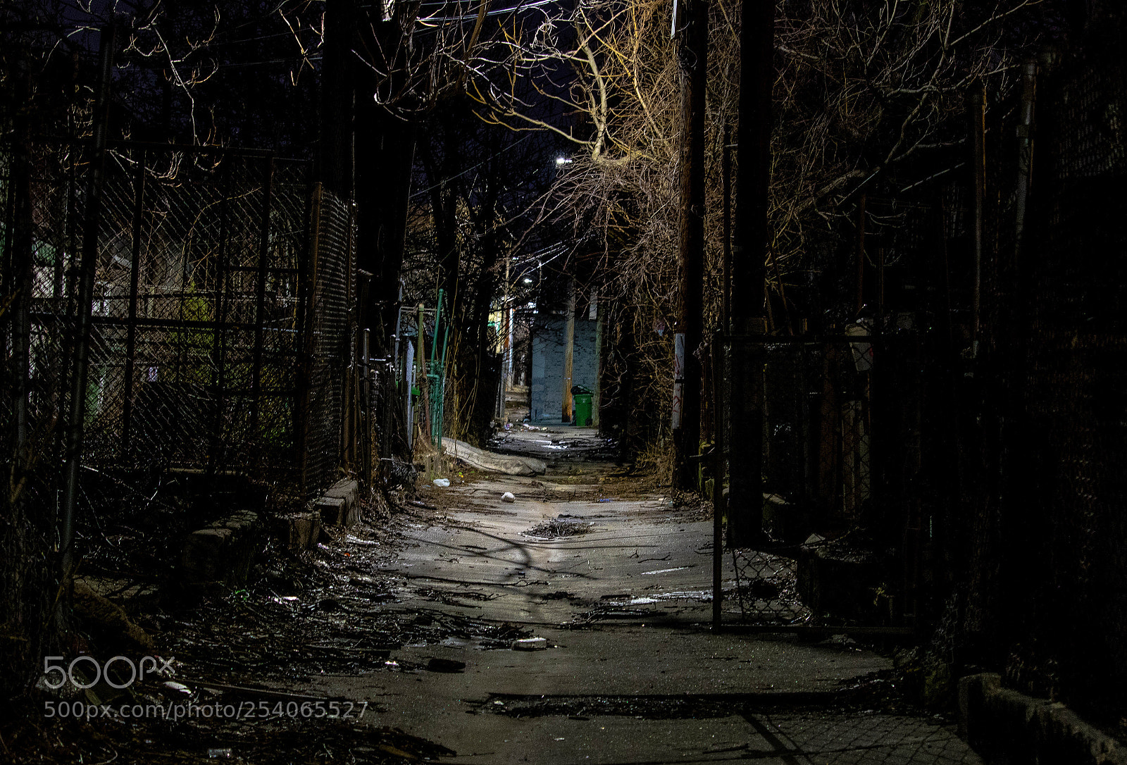 Canon EOS 750D (EOS Rebel T6i / EOS Kiss X8i) sample photo. Alleyway in west baltimore photography