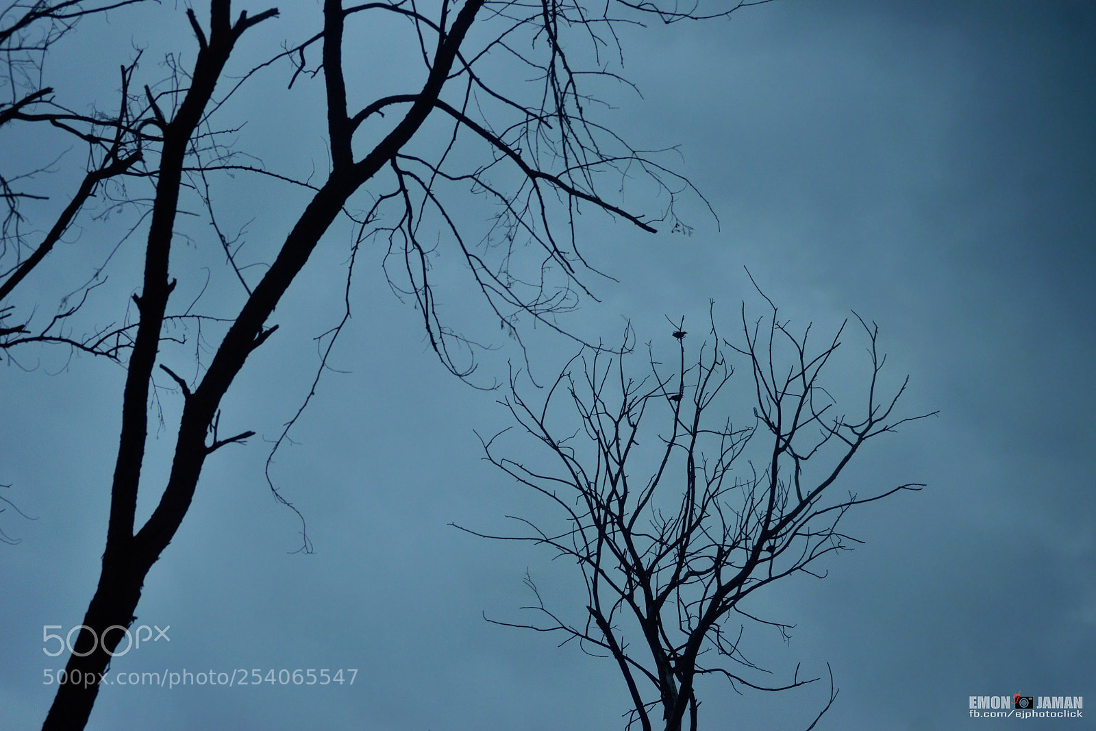 Nikon D3200 sample photo. Emptiness ! photography