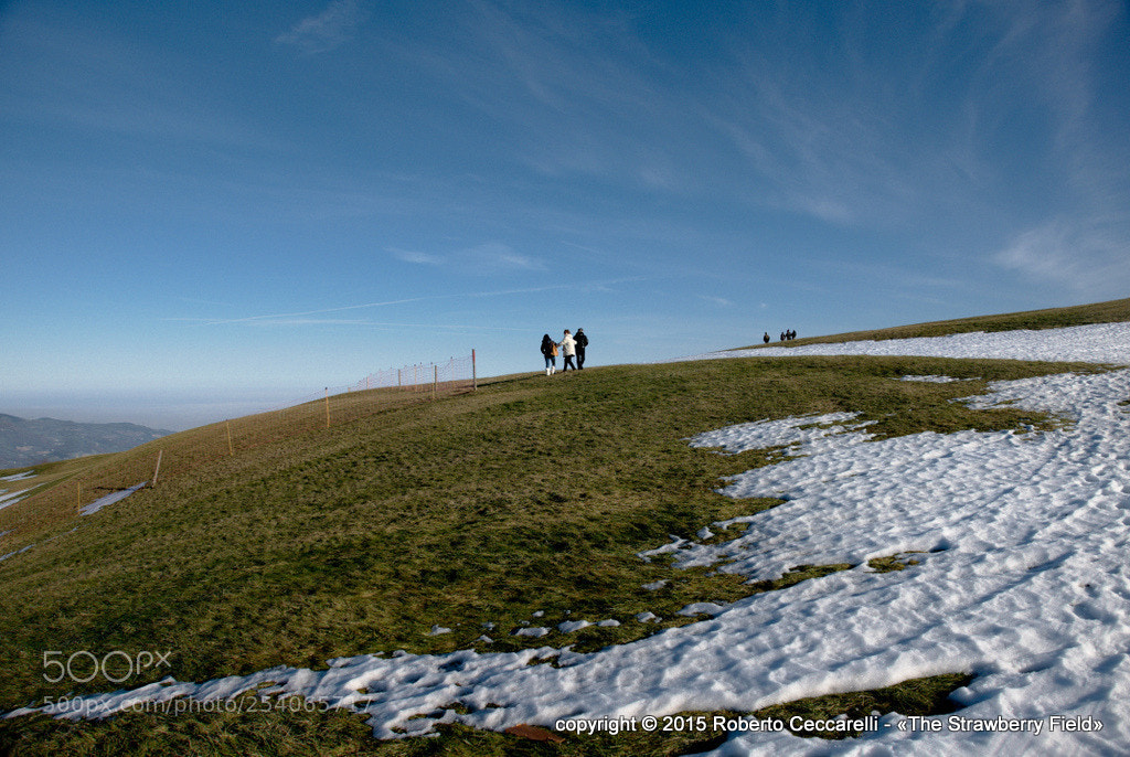 Panasonic Lumix DMC-LX100 sample photo. Eremo di carpegna photography