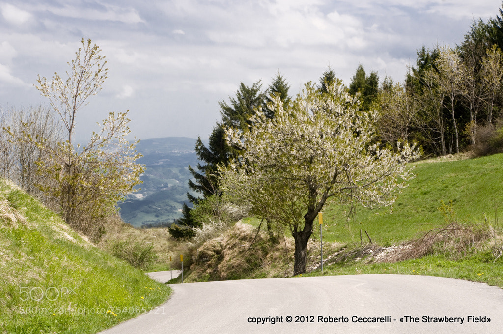 Pentax K-x sample photo. Eremo di carpegna photography