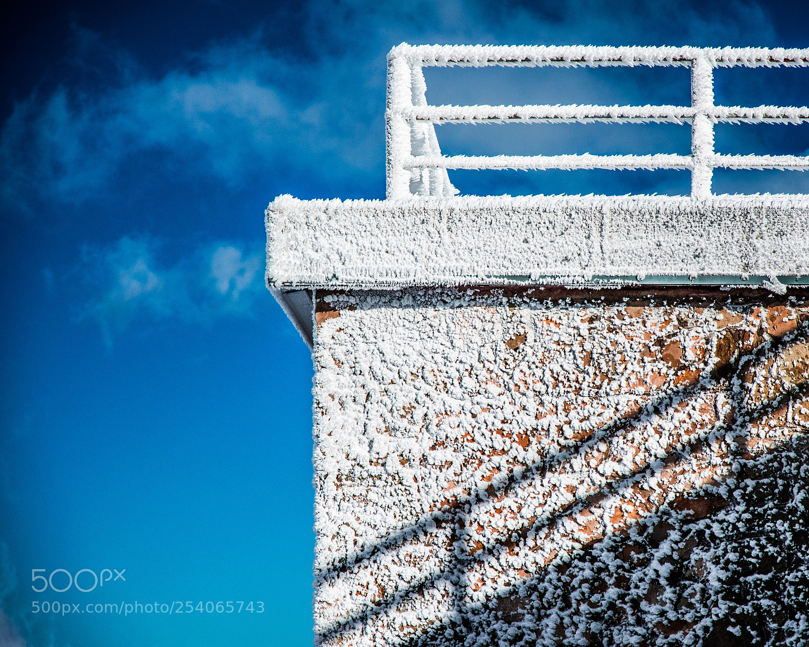 Nikon D5200 sample photo. Minimal frost photography