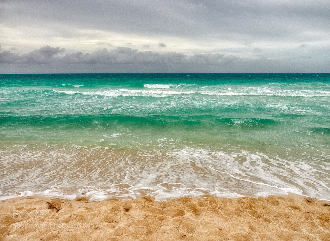 Olympus OM-D E-M1 Mark II sample photo. Caribe.  photography