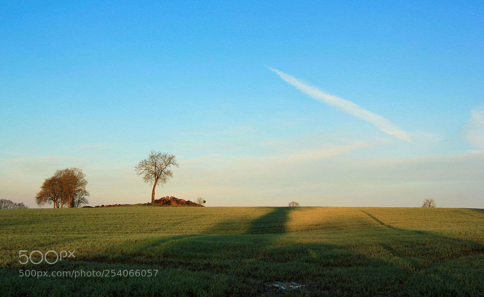 Canon EOS 550D (EOS Rebel T2i / EOS Kiss X4) sample photo. Blue sky morning photography