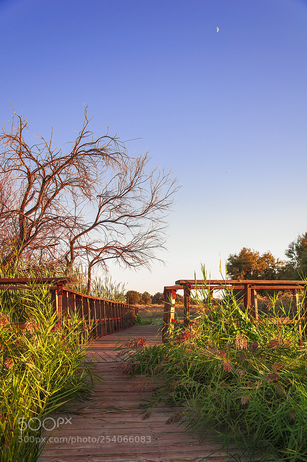 Nikon D90 sample photo. Paisaje en soledad photography