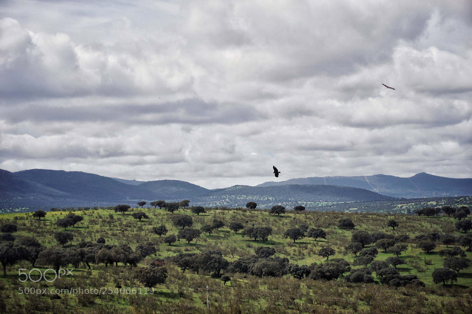 Sony a6000 sample photo. Valle de alcudia alcudia photography