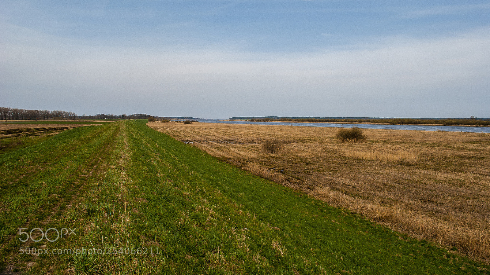 Nikon D3000 sample photo. Field photography