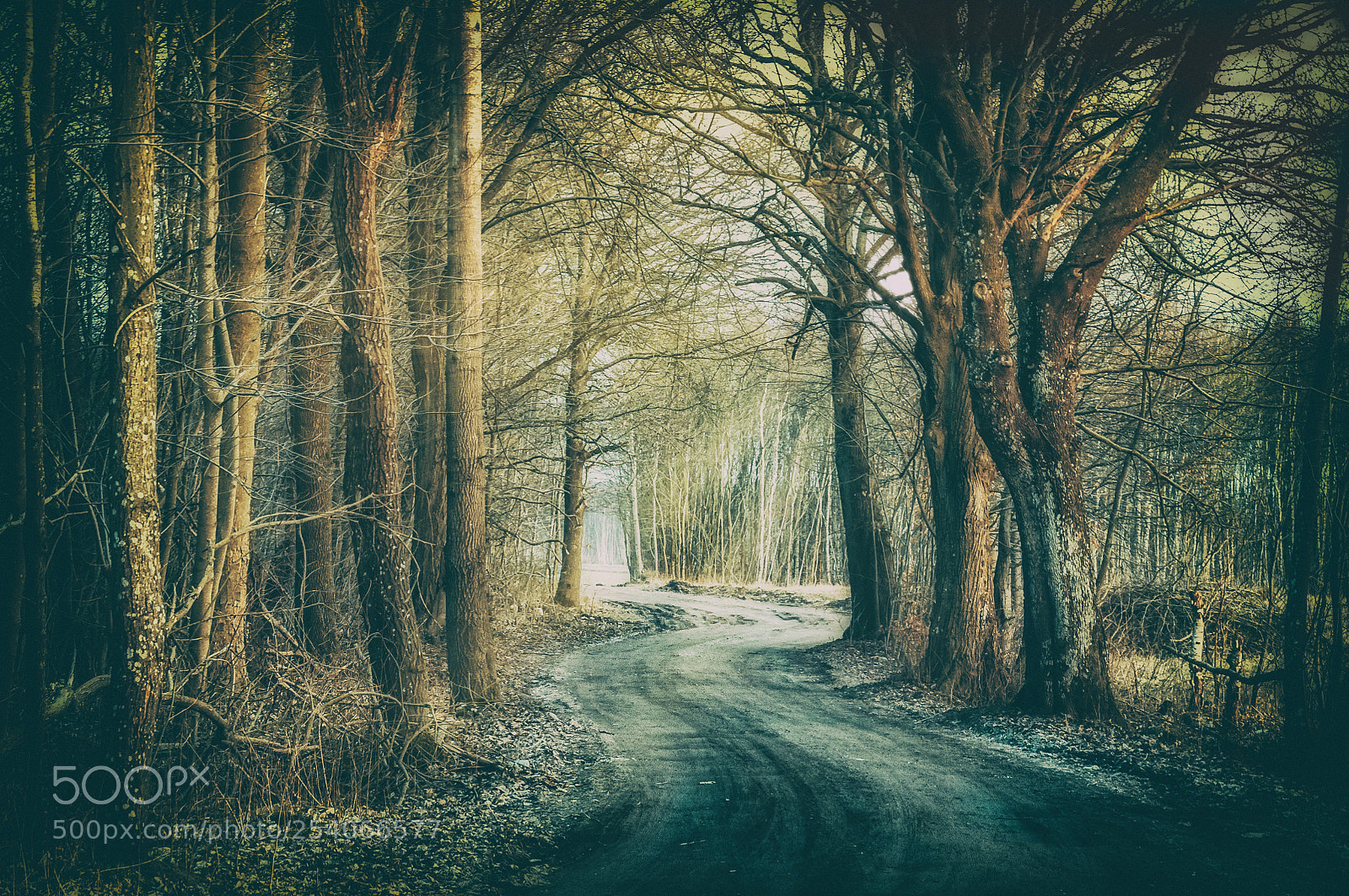 Nikon D300S sample photo. Road to light photography
