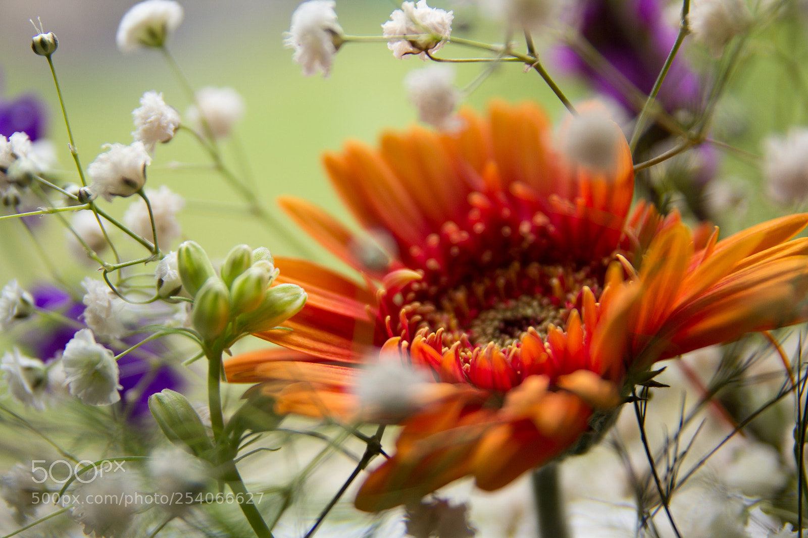 Canon EOS 60D sample photo. Wedding flowers photography