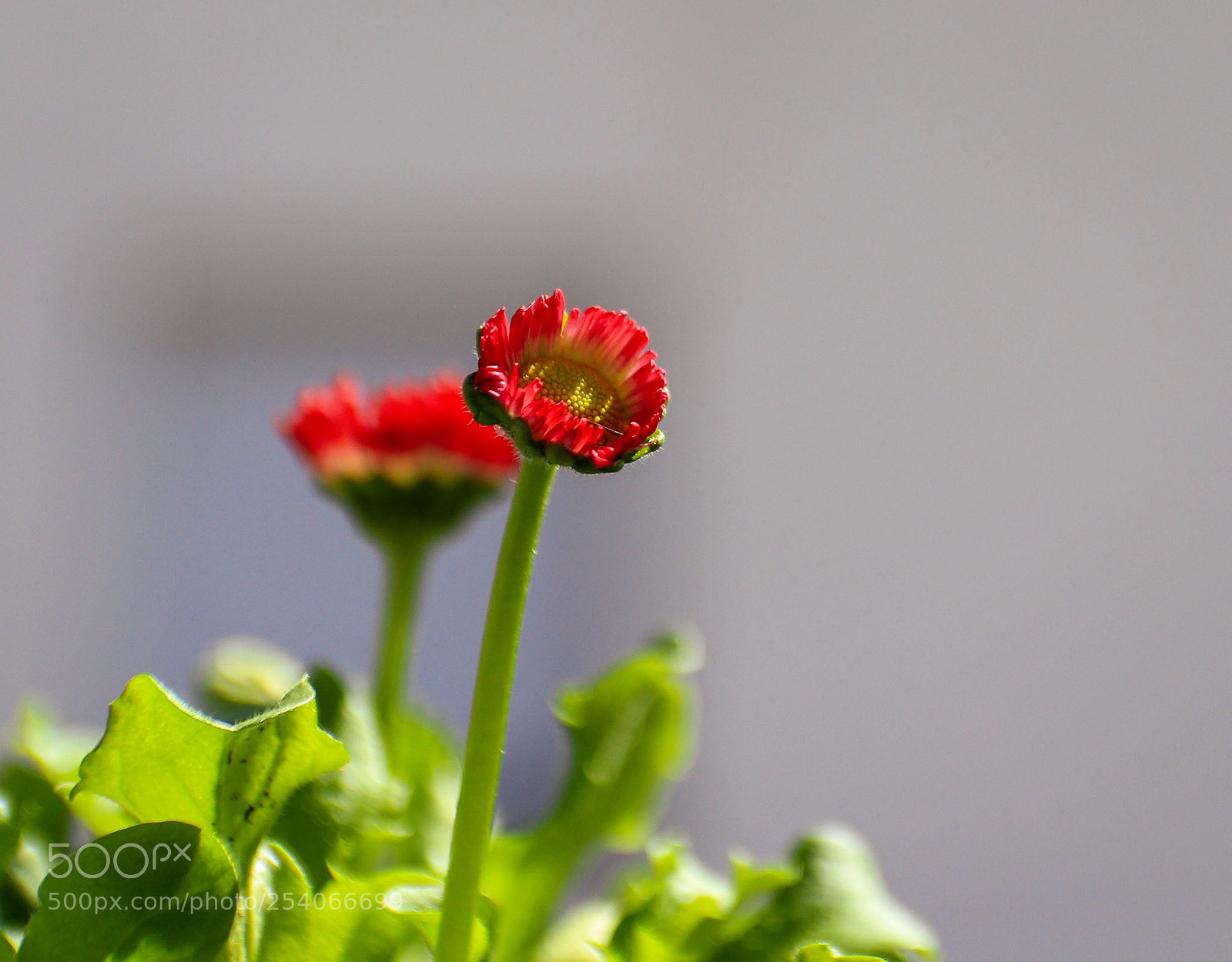Canon EOS M5 sample photo. Untitled photography
