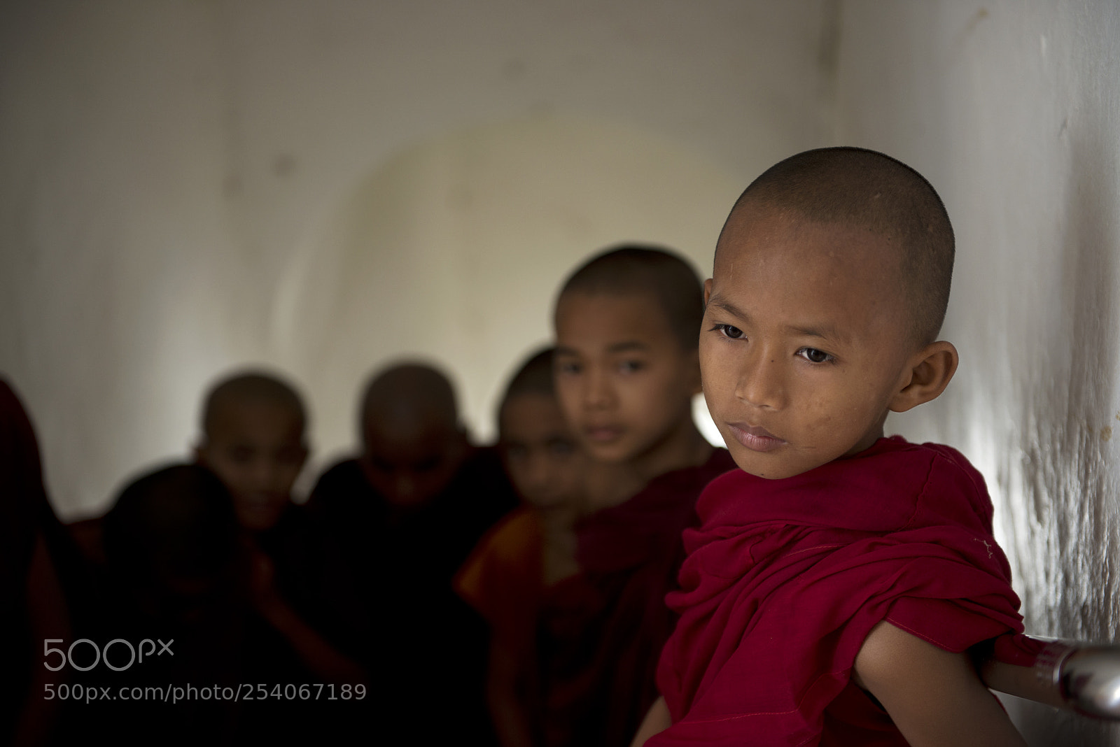 Nikon D800E sample photo. Monk boys photography
