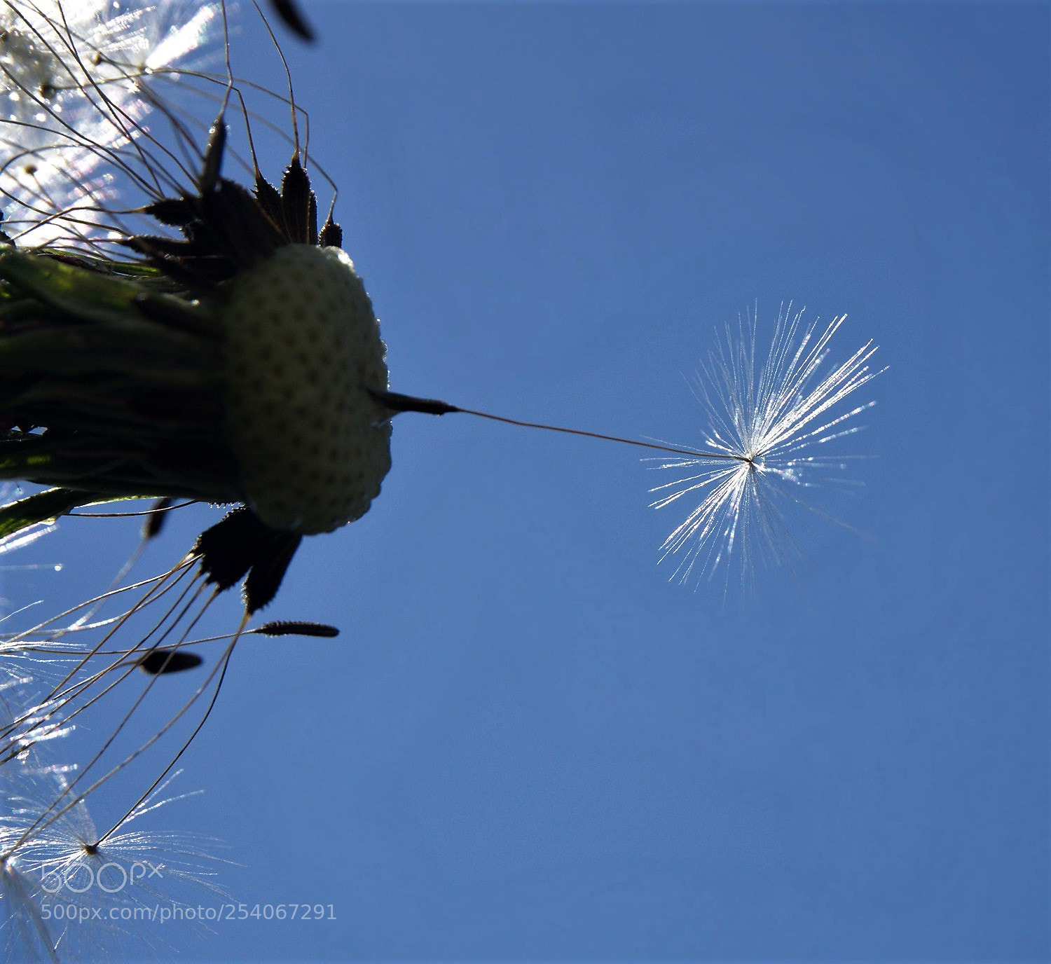 Sony a6000 sample photo. --- photography