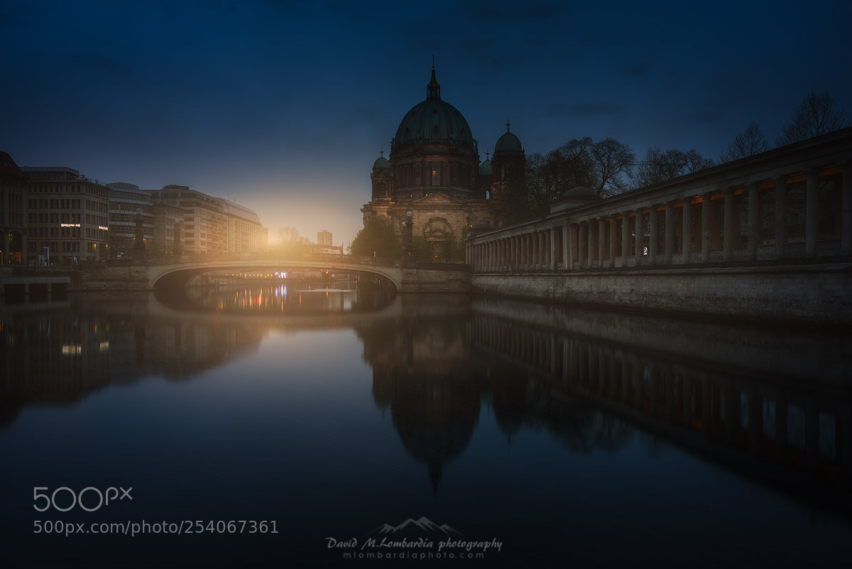 Sony a7R sample photo. The dom photography