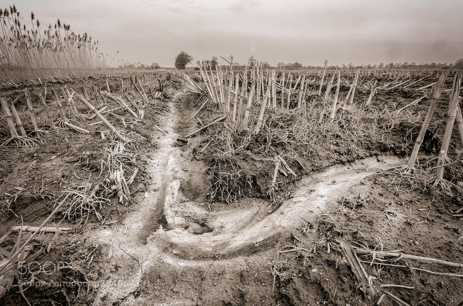 Nikon D7000 sample photo. Hancate landscape photography