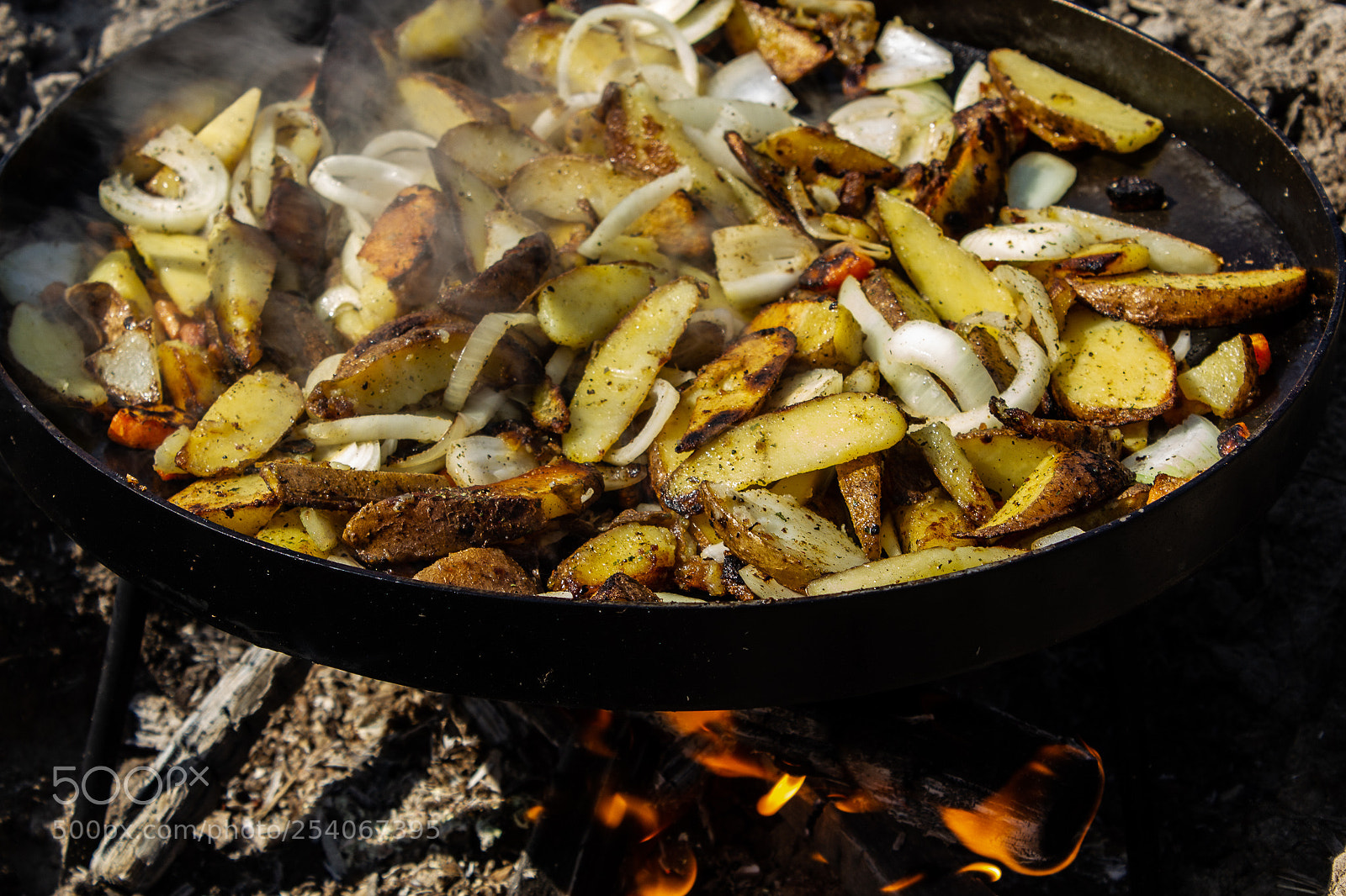 Canon EOS 550D (EOS Rebel T2i / EOS Kiss X4) sample photo. Roast potato (outdoor cooking) photography