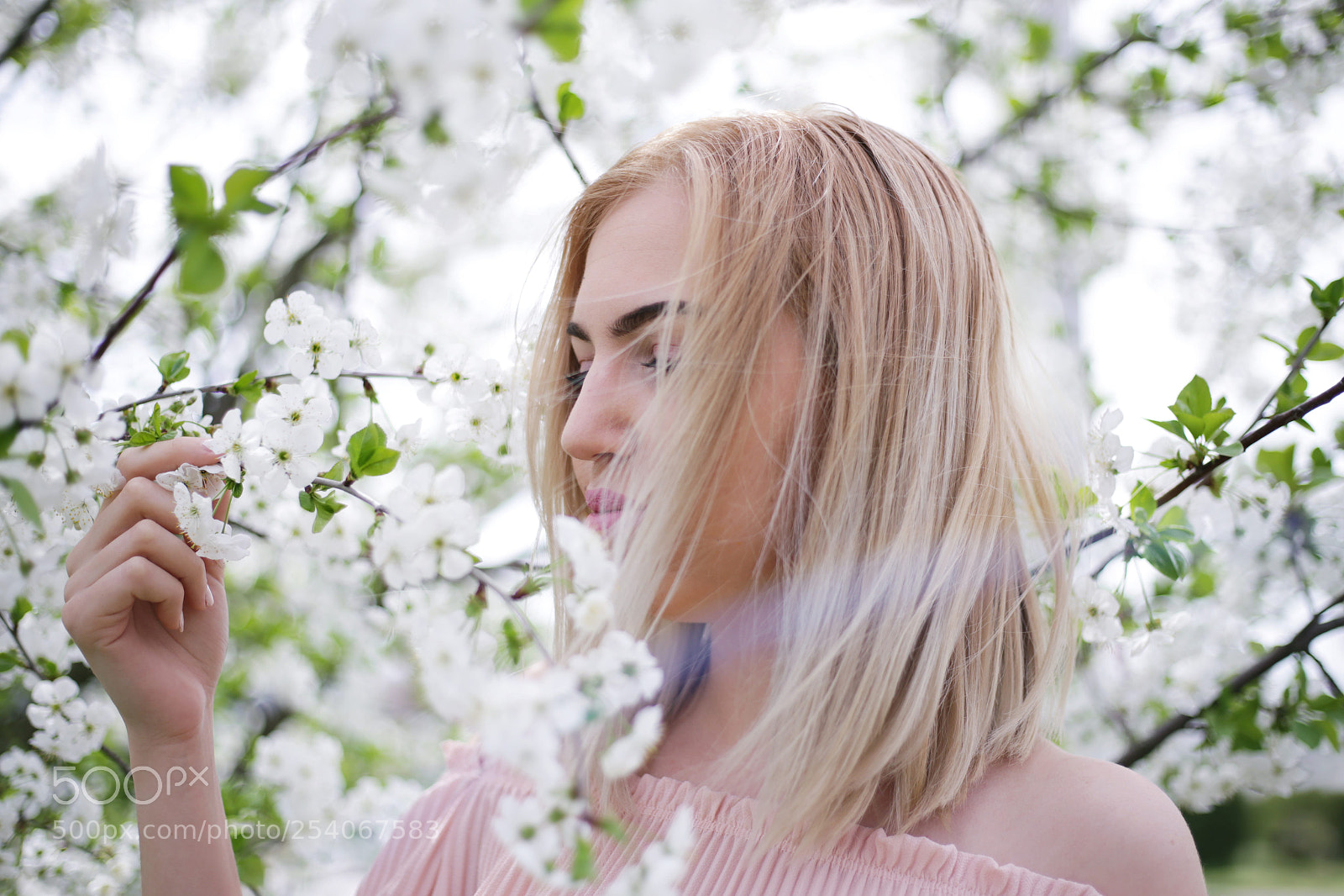 Canon EOS 6D + Canon EF 50mm F1.8 STM sample photo. Anabela photography