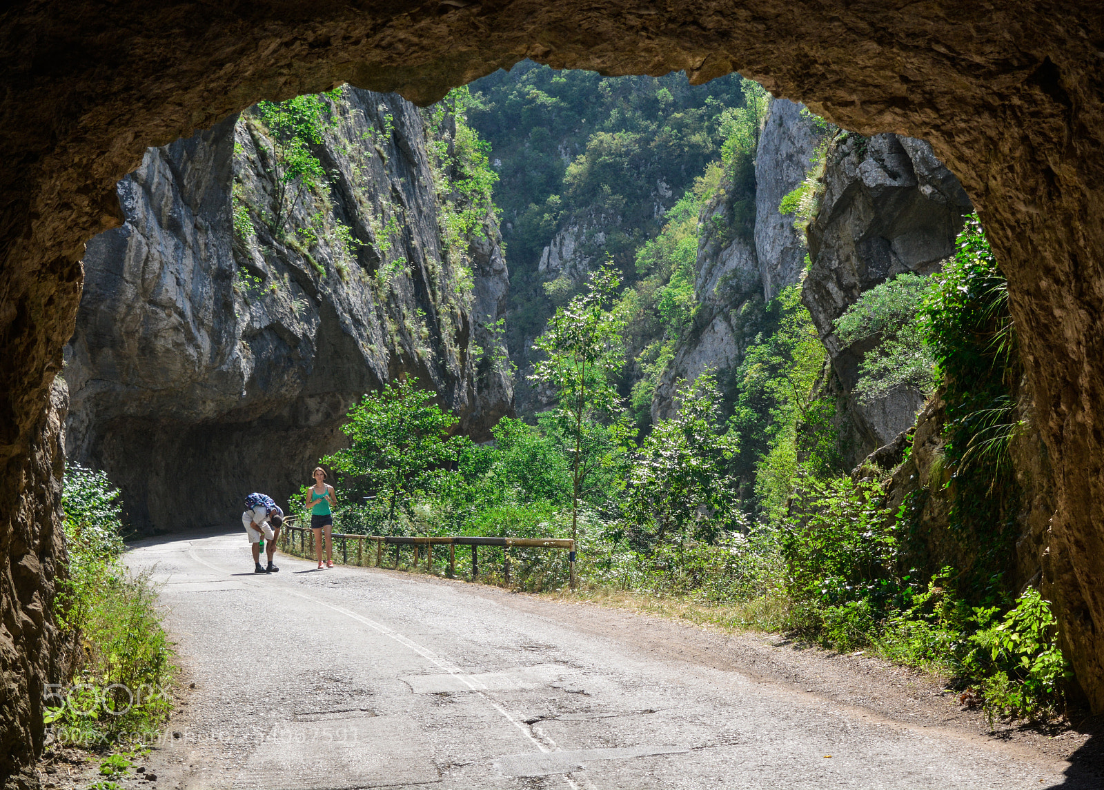 Nikon D5200 sample photo. Tunnel in nature photography