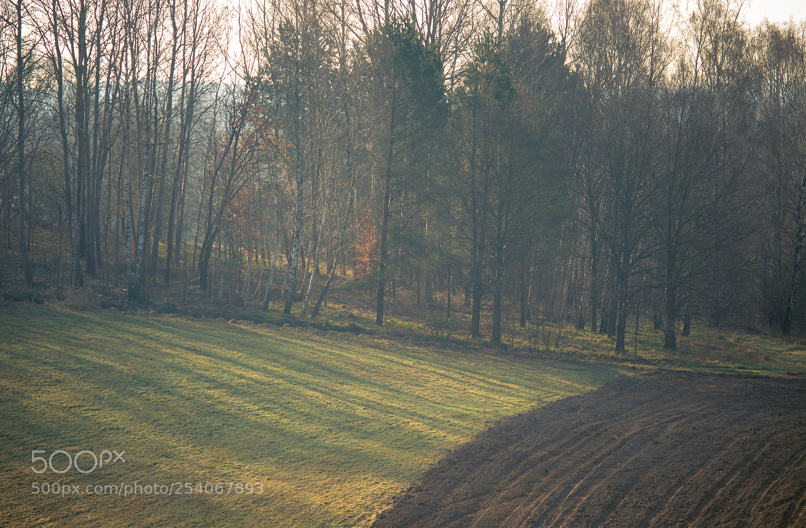 Nikon D7000 sample photo. Spring fields of ugwa photography