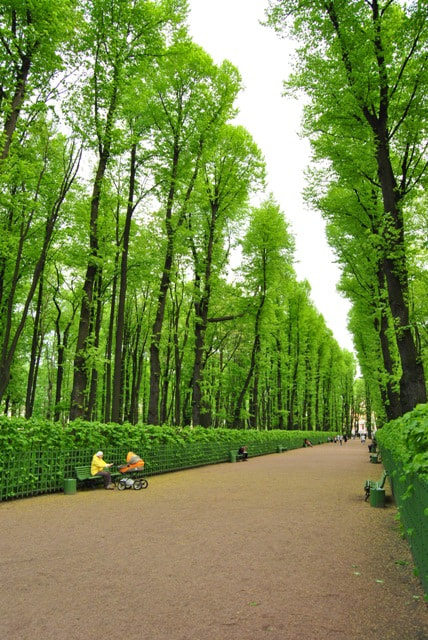 Nikon D3000 sample photo