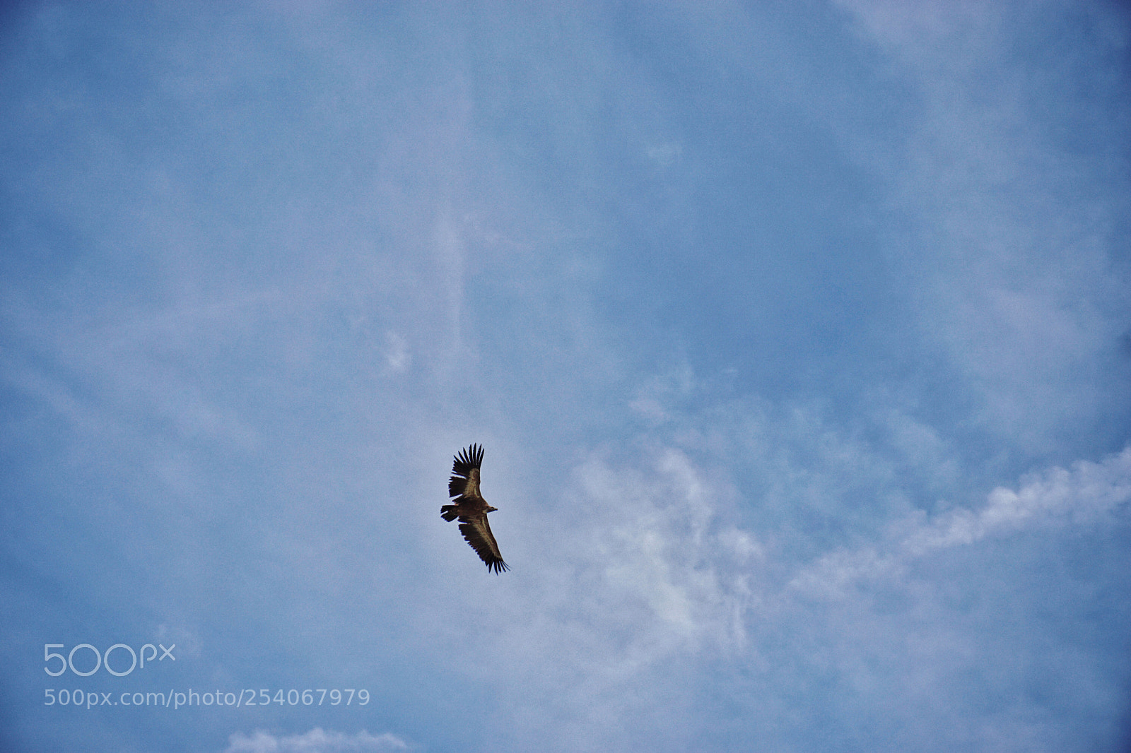 Sony a6000 sample photo. Valle de alcudia alcudia photography