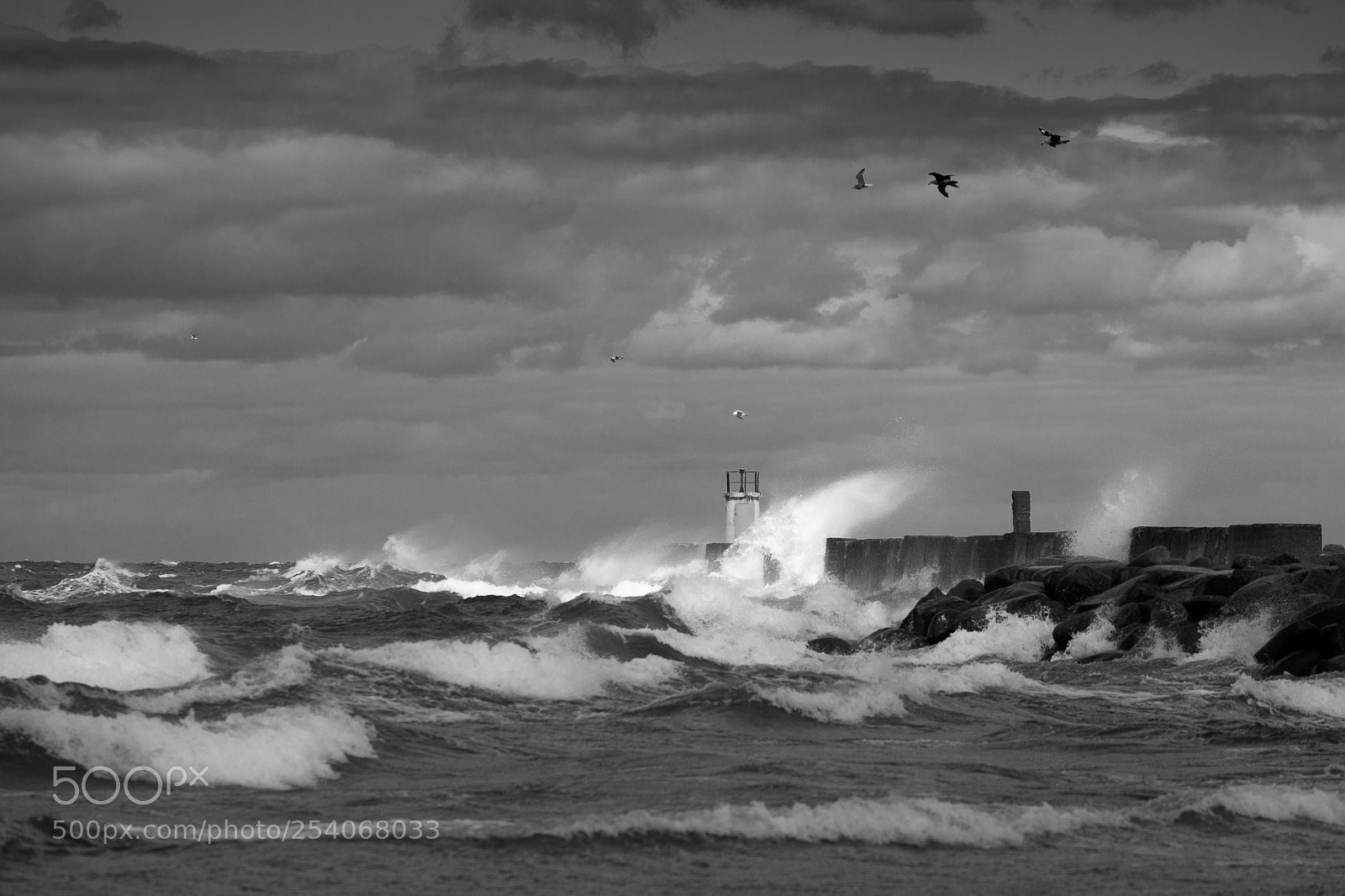 Canon EOS 5D Mark II sample photo. Windy day photography
