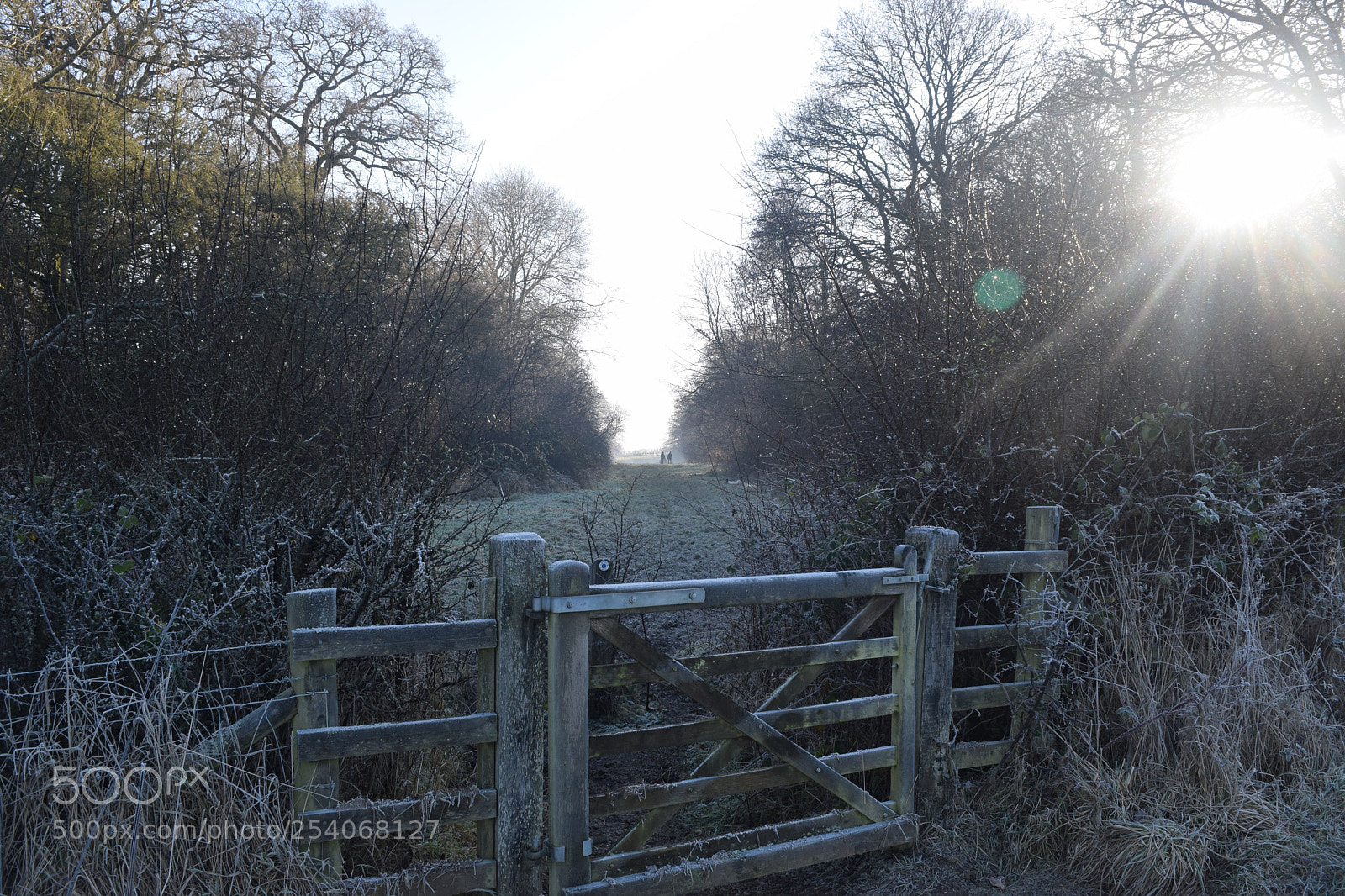 Nikon D3300 sample photo. Gate photography