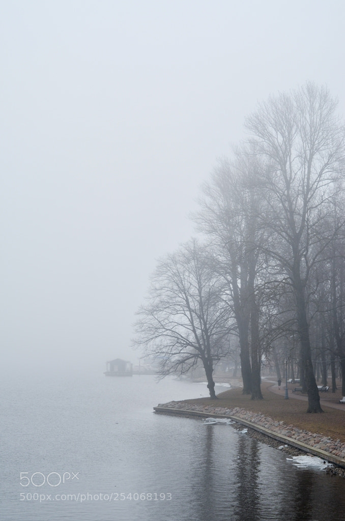 Nikon D5100 sample photo. Untitled photography