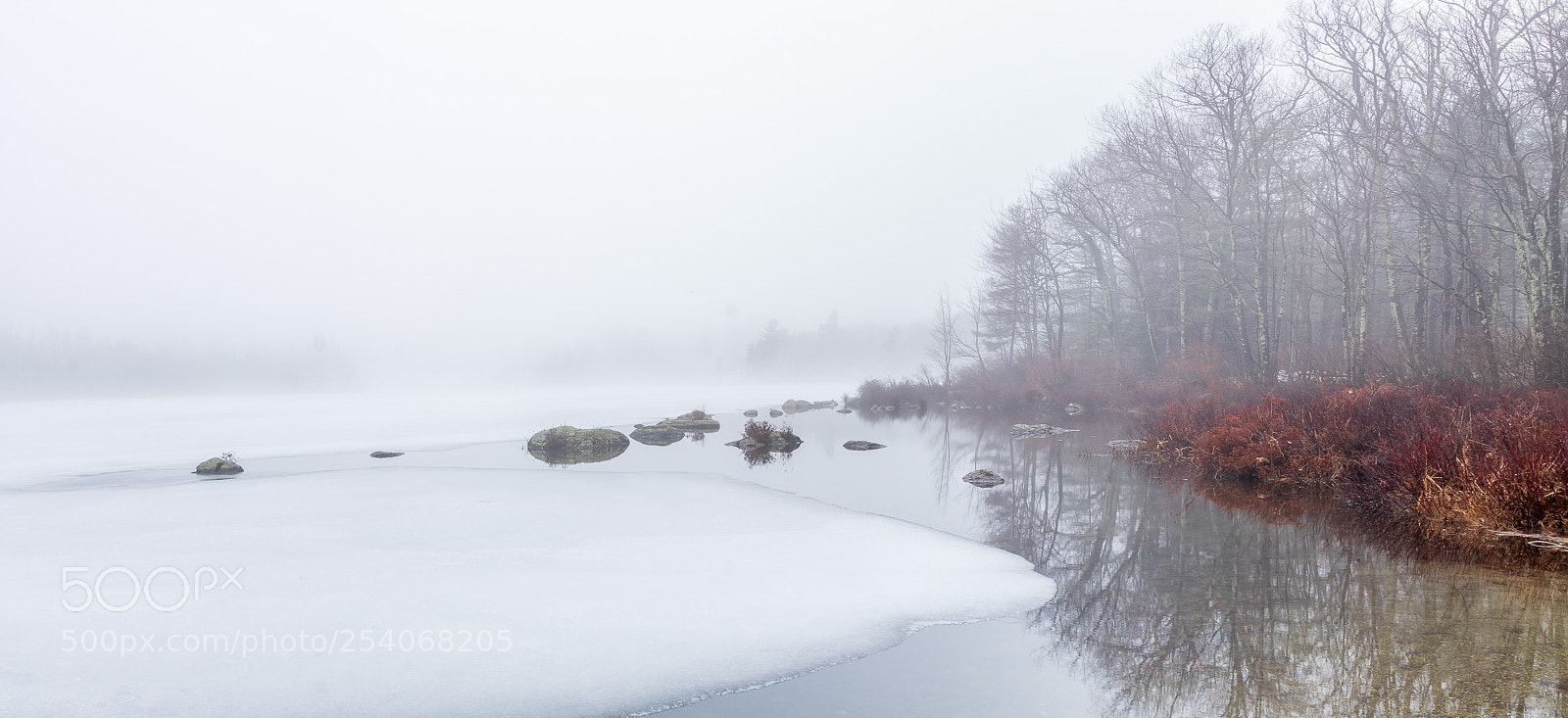 Sony ILCA-77M2 sample photo. Land of ice fog photography