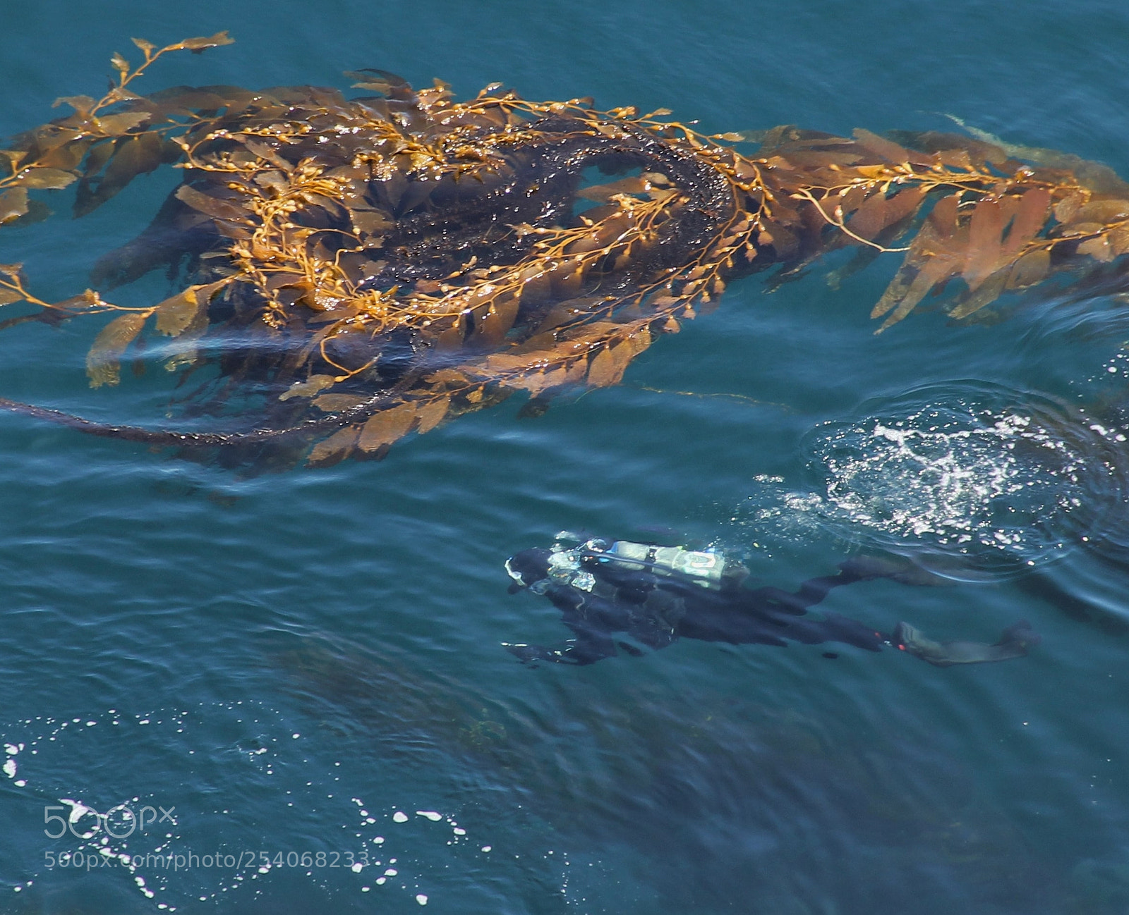 Canon EOS 60D sample photo. Scuba guy photography