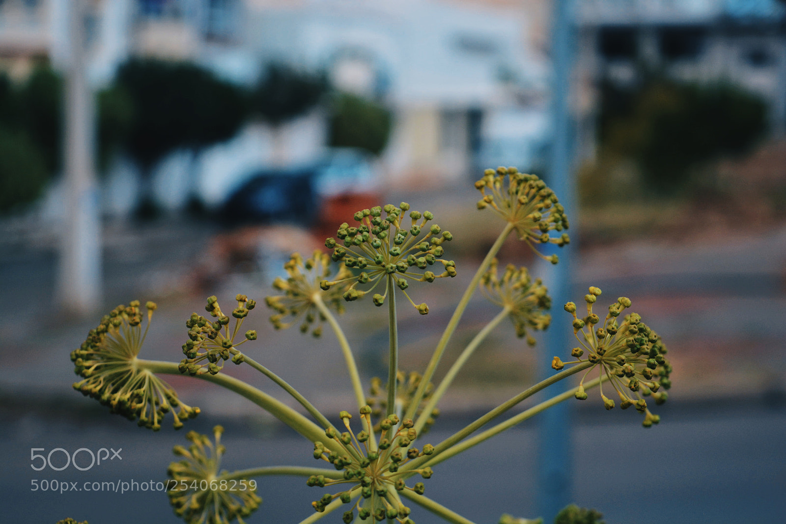 Nikon D5200 sample photo. Untitled photography