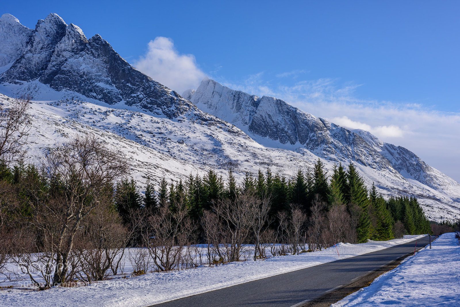 Nikon D810 sample photo. Winter view of the photography