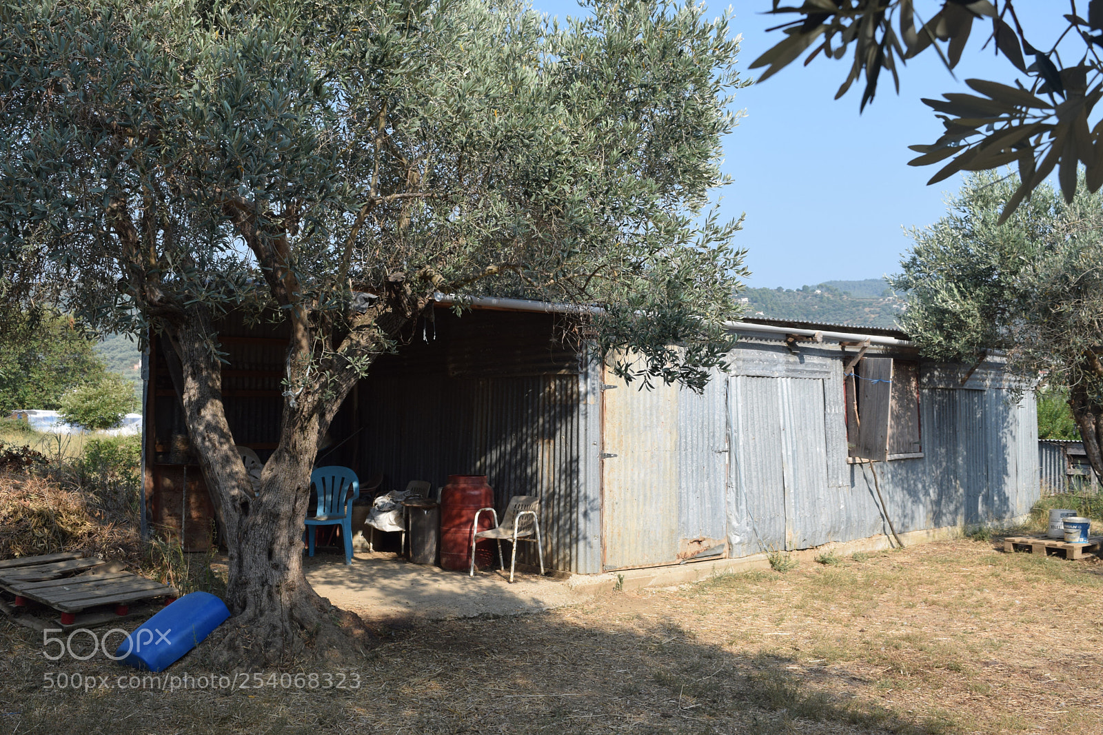Nikon D3300 sample photo. Shack photography