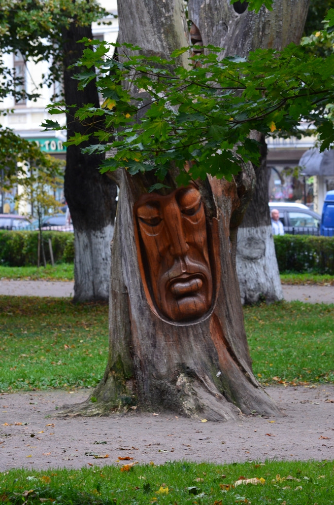 Nikon D5100 sample photo