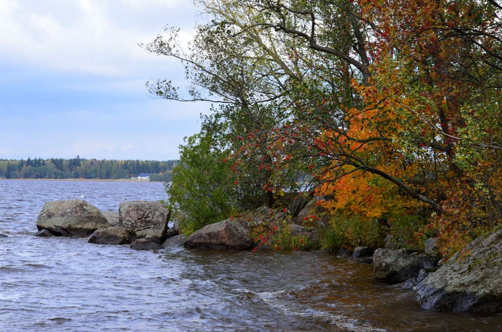 Nikon D5100 sample photo