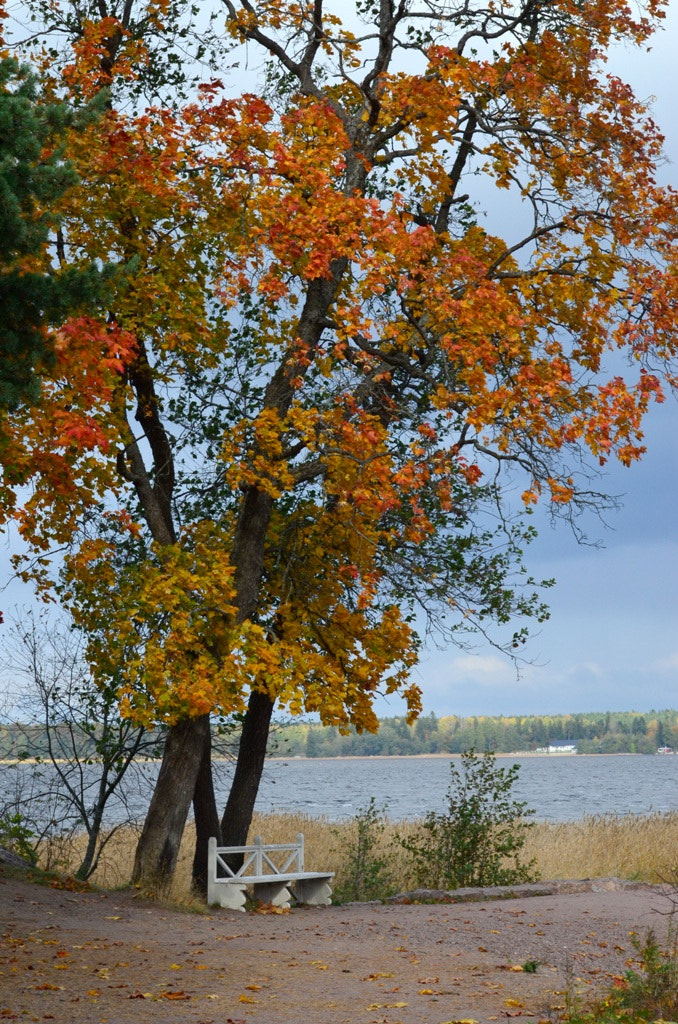 Nikon D5100 sample photo