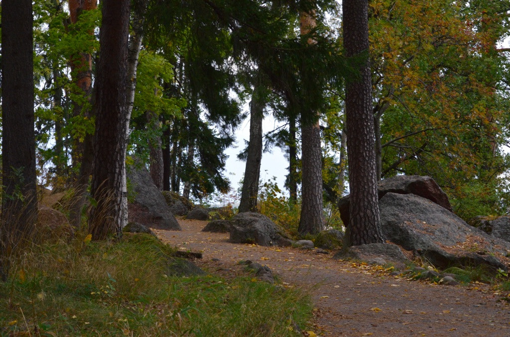 Nikon D5100 sample photo