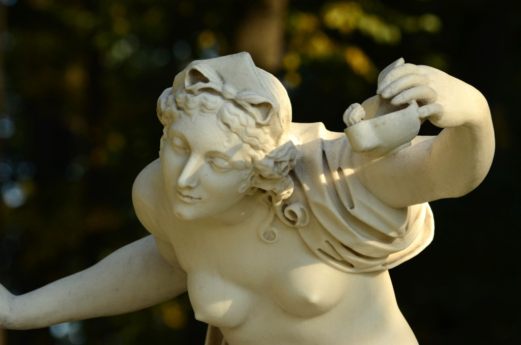 Nikon D5100 sample photo
