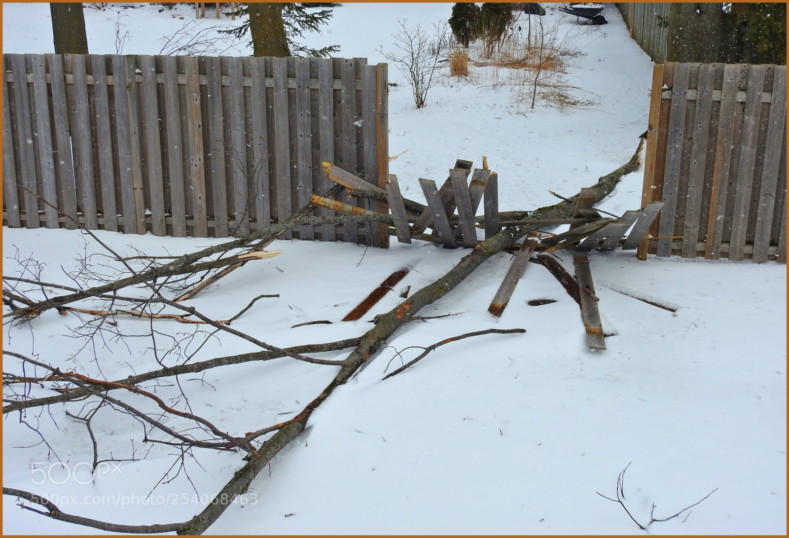 Nikon Coolpix P900 sample photo. Ice storm damage ll photography