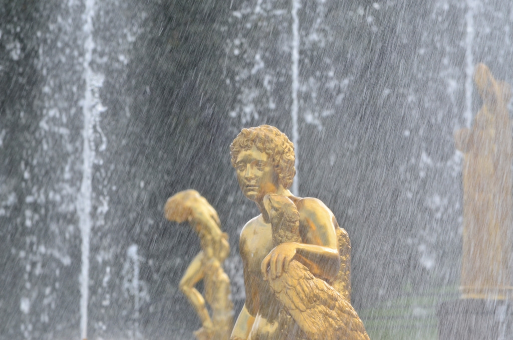 Nikon D5100 sample photo