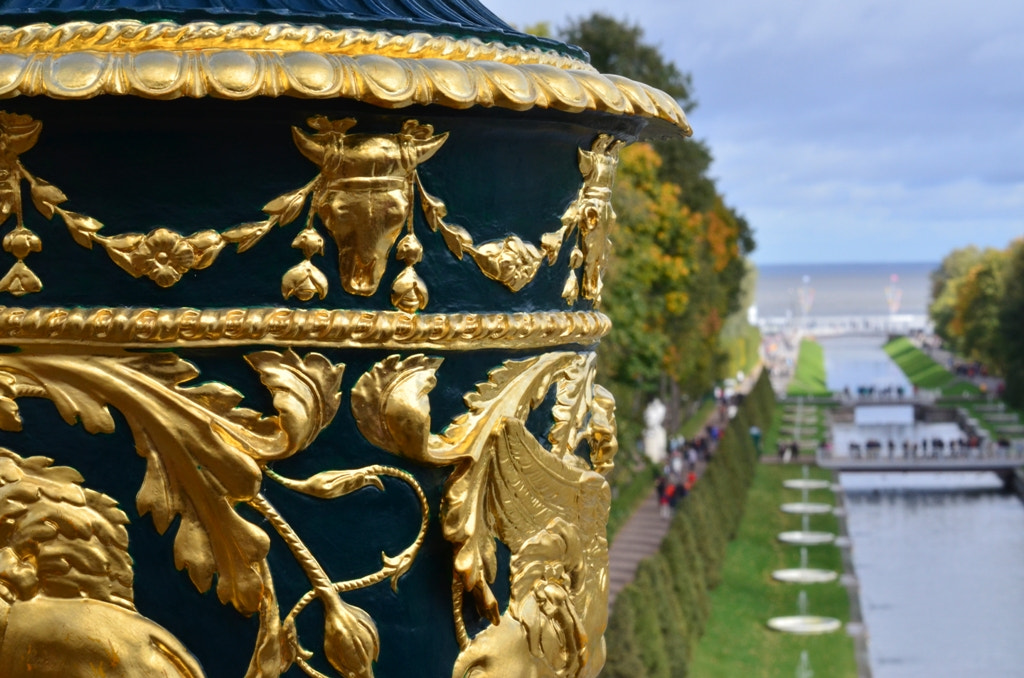 Nikon D5100 sample photo